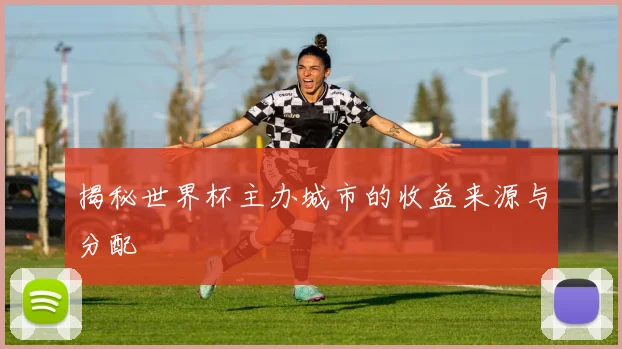 揭秘世界杯主办城市的收益来源与分配